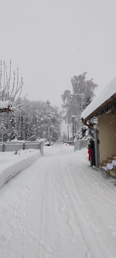 Sport Manca Garni Hotel Radovljica Zewnętrze zdjęcie