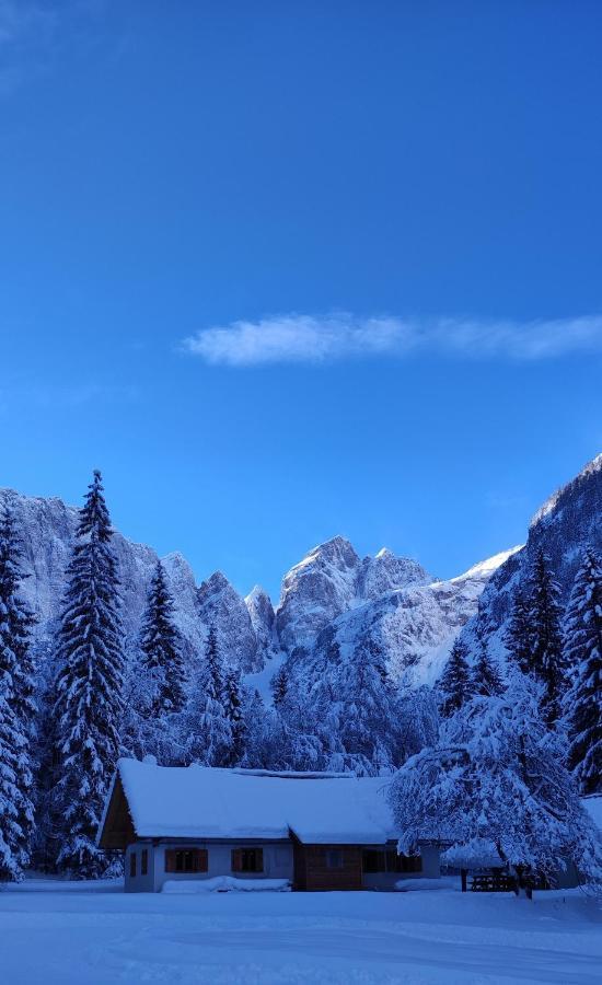 Sport Manca Garni Hotel Radovljica Zewnętrze zdjęcie